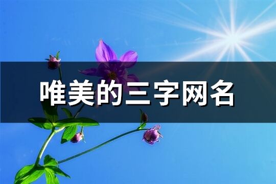 唯美的三字网名(共857个)