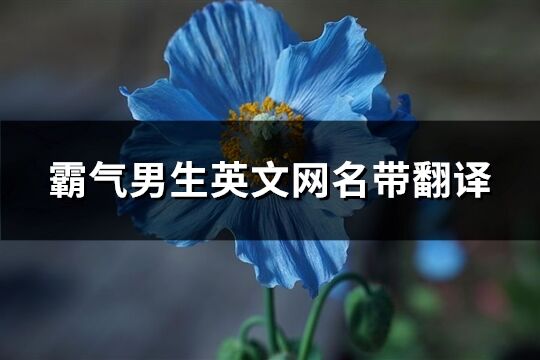 霸气男生英文网名带翻译(80个)