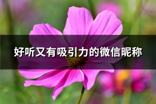 好听又有吸引力的微信昵称(551个)