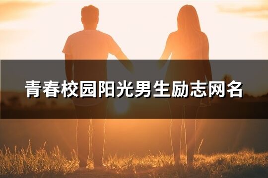 青春校园阳光男生励志网名(精选61个)