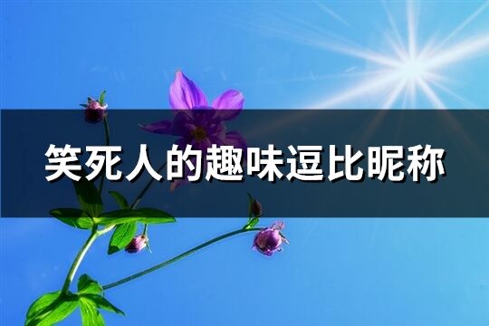 笑死人的趣味逗比昵称(优选296个)