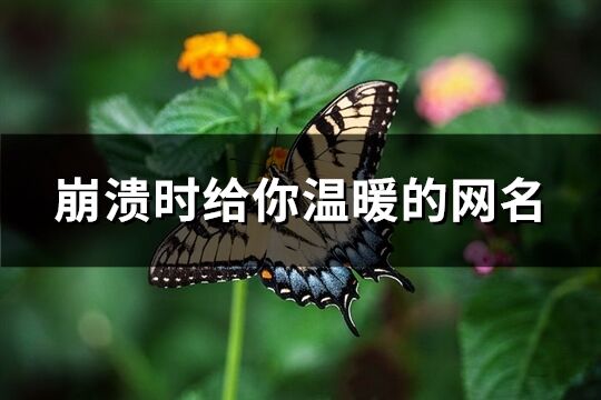 崩溃时给你温暖的网名(优选478个)