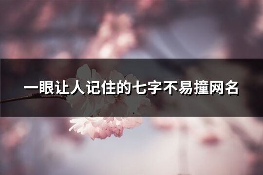 一眼让人记住的七字不易撞网名(共782个)