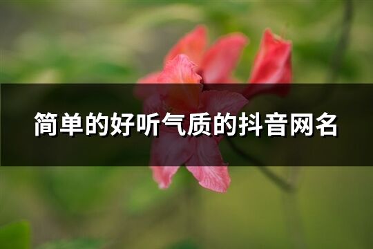 简单的好听气质的抖音网名(优选1610个)