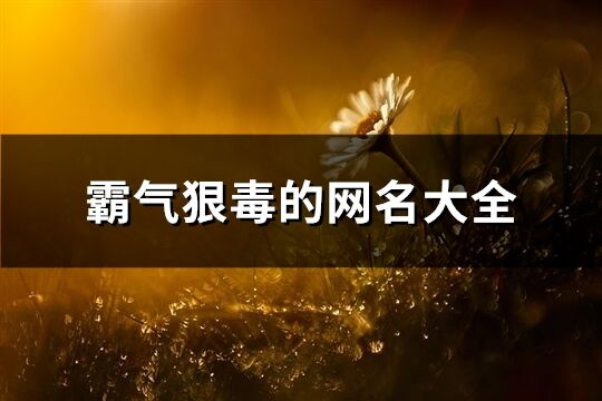 霸气狠毒的网名大全(共143个)