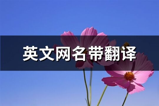 英文网名带翻译(精选201个)