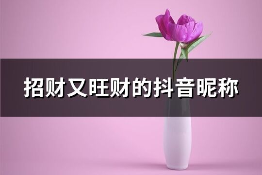 招财又旺财的抖音昵称(精选702个)