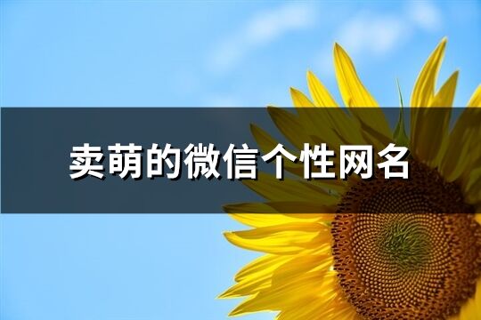 卖萌的微信个性网名(精选243个)