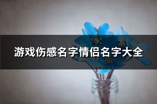 游戏伤感名字情侣名字大全(141个)