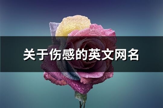 关于伤感的英文网名(精选145个)