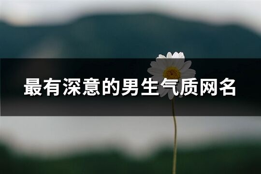 最有深意的男生气质网名(760个)