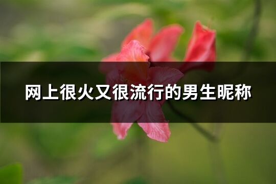 网上很火又很流行的男生昵称(240个)