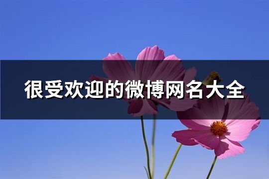 很受欢迎的微博网名大全(精选649个)