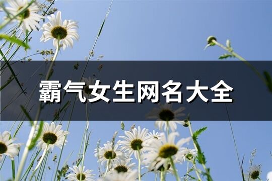 霸气女生网名大全(共503个)