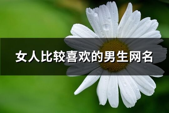 女人比较喜欢的男生网名(精选271个)