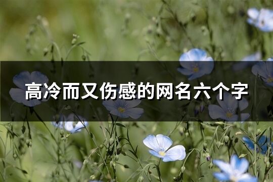 高冷而又伤感的网名六个字(精选311个)