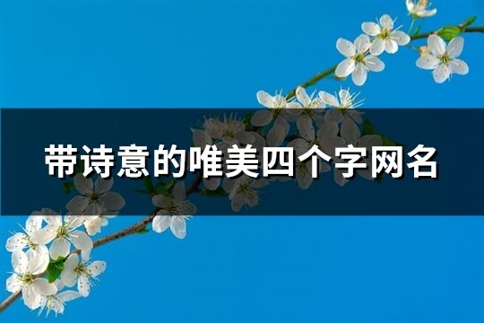 带诗意的唯美四个字网名(优选402个)