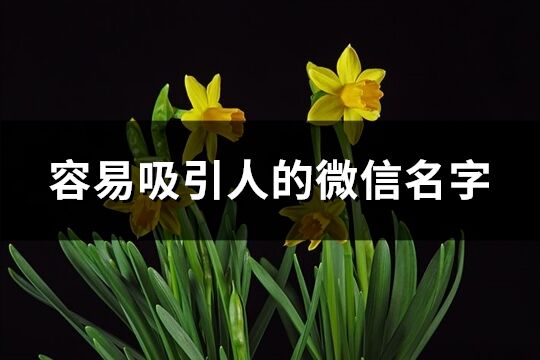 容易吸引人的微信名字(优选781个)