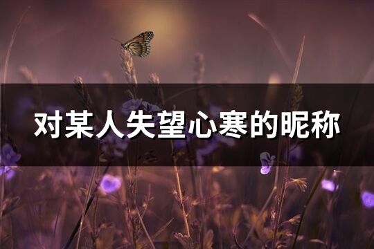 对某人失望心寒的昵称(共274个)