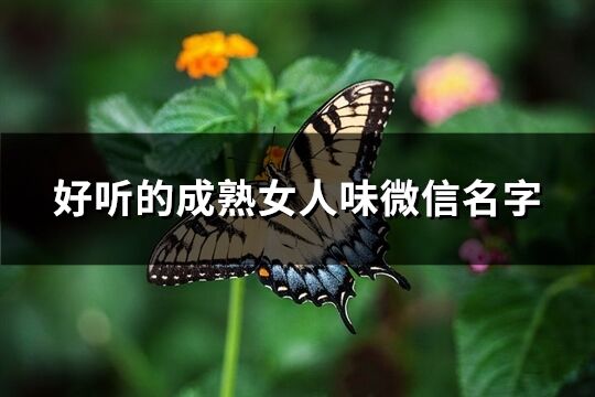 好听的成熟女人味微信名字(203个)