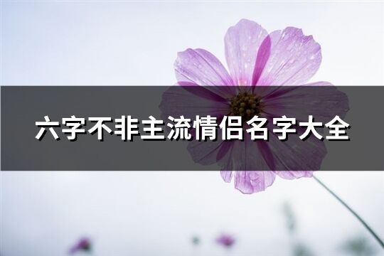 六字不非主流情侣名字大全(优选307个)