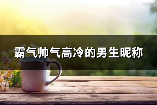 霸气帅气高冷的男生昵称(精选210个)