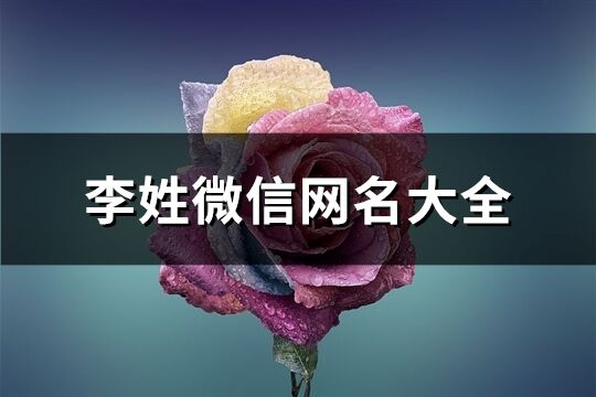 李姓微信网名大全(260个)