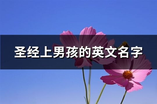 圣经上男孩的英文名字(优选83个)