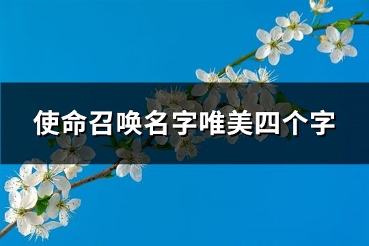 使命召唤名字唯美四个字(378个)