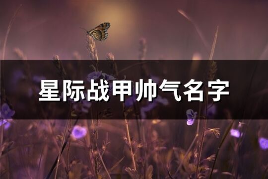 星际战甲帅气名字(优选214个)