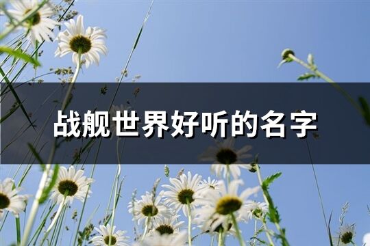 战舰世界好听的名字(优选181个)