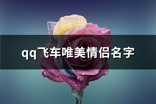 qq飞车唯美情侣名字(共74个)