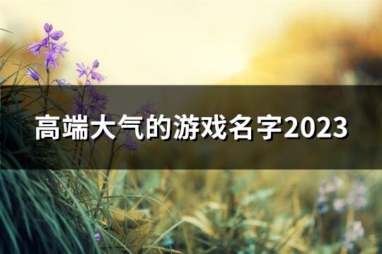 高端大气的游戏名字2023(48个)