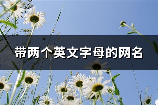 带两个英文字母的网名(精选67个)