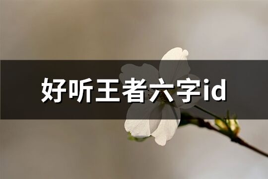 王者六字温柔好听的游戏名 (王者六字温柔id)