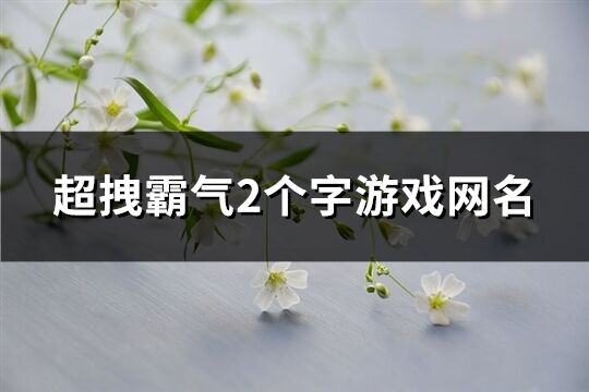 超拽霸气2个字游戏网名(精选1132个)