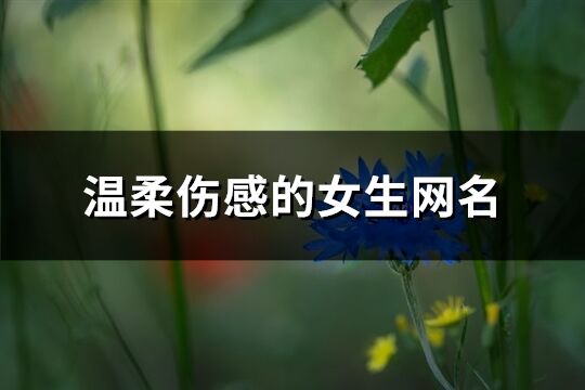 温柔伤感的女生网名(共216个)