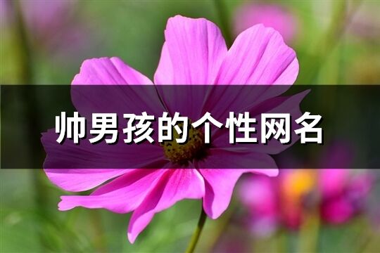 帅男孩的个性网名(共946个)