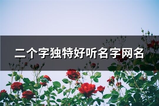 二个字独特好听名字网名(1135个)