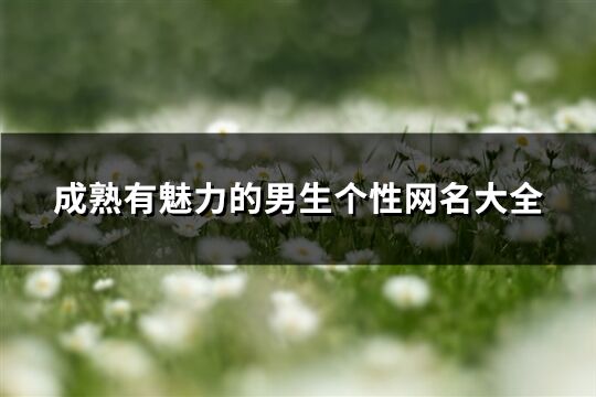 成熟有魅力的男生个性网名大全(共1502个)