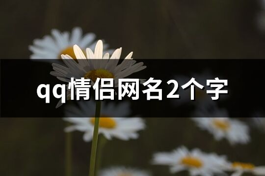 qq情侣网名2个字(559个)