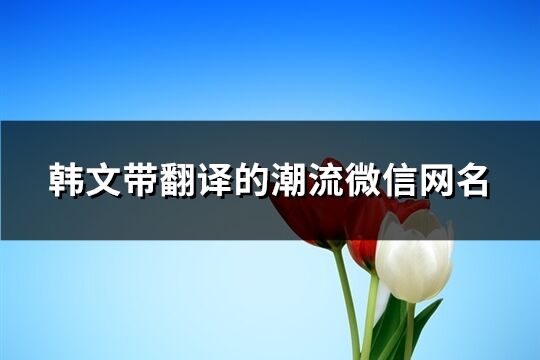 韩文带翻译的潮流微信网名(精选70个)