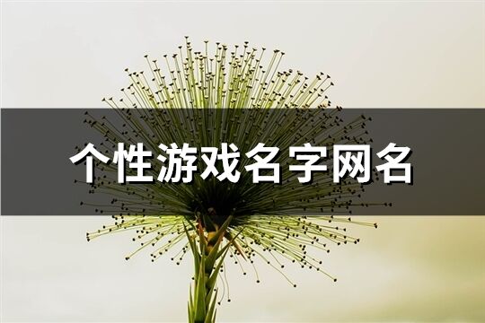 个性游戏名字网名(共95个)