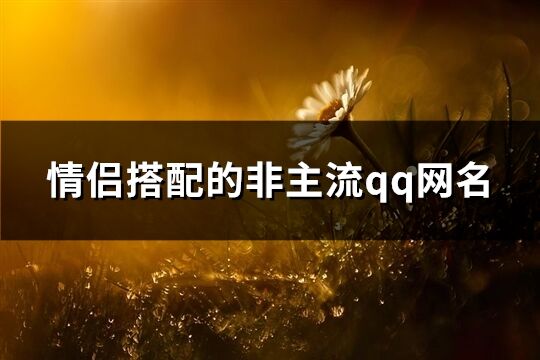 情侣搭配的非主流qq网名(优选361个)