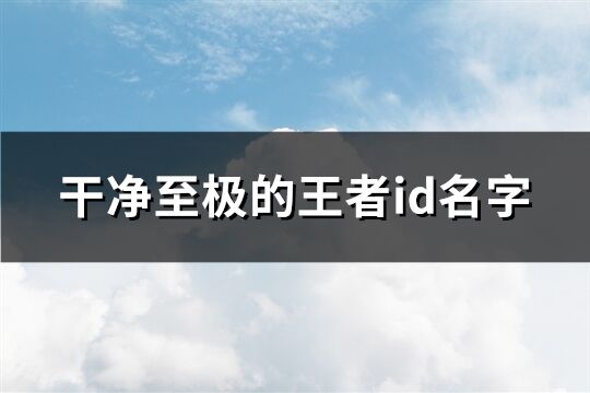 干净至极的王者id名字(精选515个)