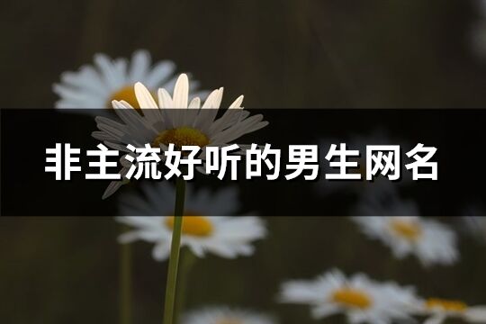 非主流好听的男生网名(共308个)