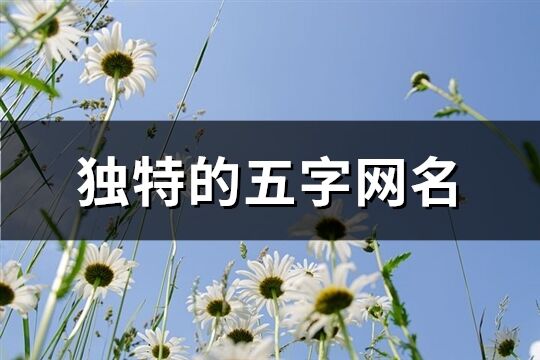 独特的五字网名(1161个)