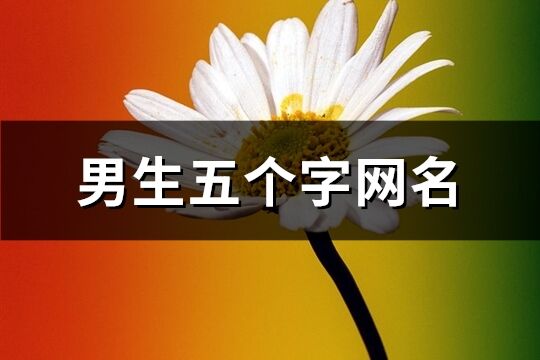 男生五个字网名(共959个)