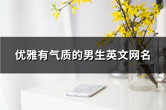 优雅有气质的男生英文网名(220个)