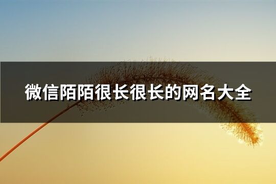 微信陌陌很长很长的网名大全(共556个)